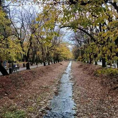 Daire Nektar 88 Lux *