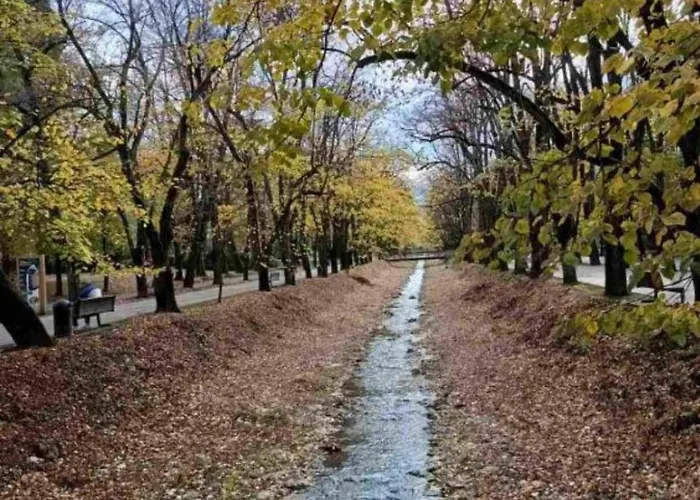 Apartamento Nektar 88 Lux *